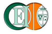 CEI-Toledo-2
